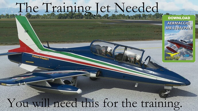 YouwillNeedThisAirplane