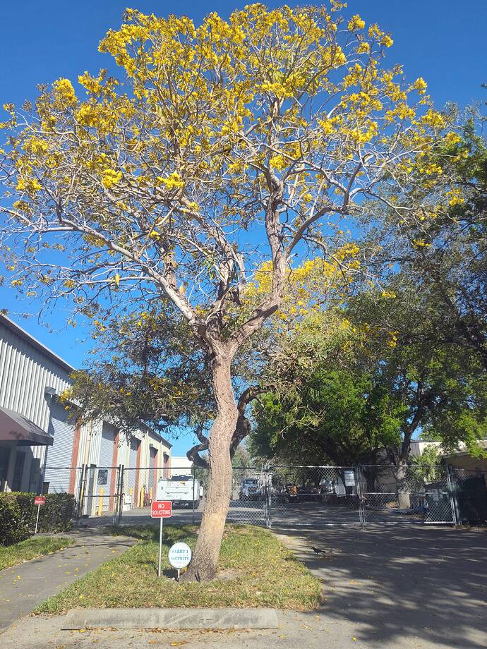 IMG_20260321_171234522_HDR