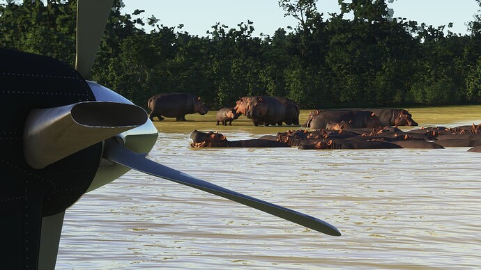 Microsoft Flight Simulator Screenshot 2022.01.28 - 17.01.44.05