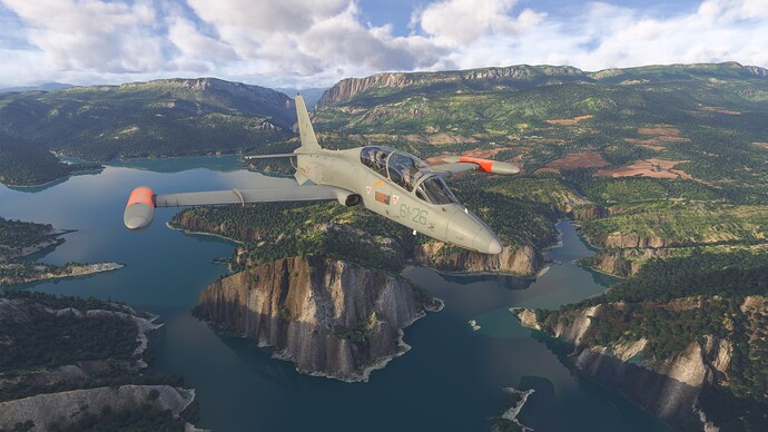 Microsoft Flight Simulator 2024-2025_08_13-17-29-09