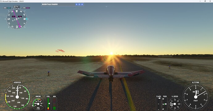 Microsoft Flight Simulator 12-Mar-24 23_37_58