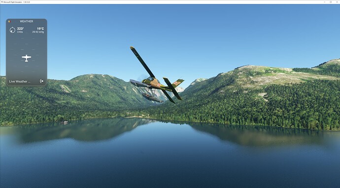 Microsoft Flight Simulator 2_1_2023 6_49_43 PM