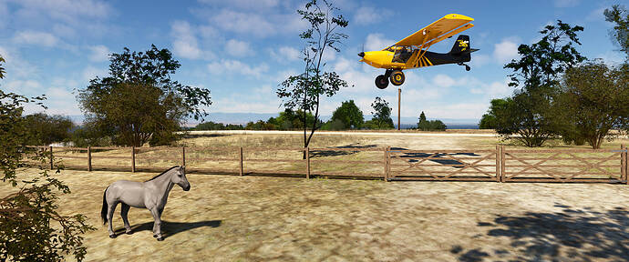 MSFS 2020 - Hogsback Ranch_02