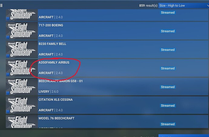 Microsoft Flight Simulator 2024 12_12_2024 20_48_11