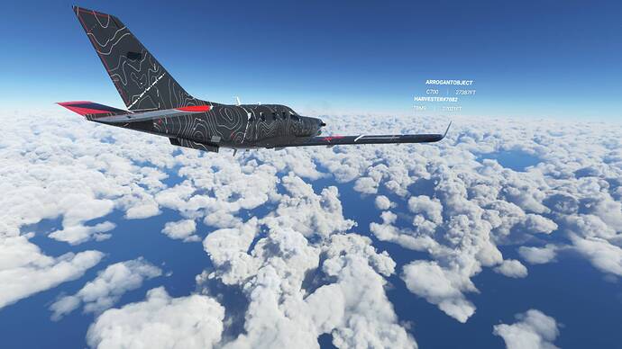 Microsoft Flight Simulator 8_8_2021 12_01_25 PM