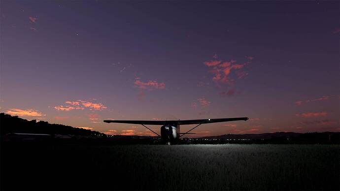 Microsoft Flight Simulator 2021-05-17 08_53_16