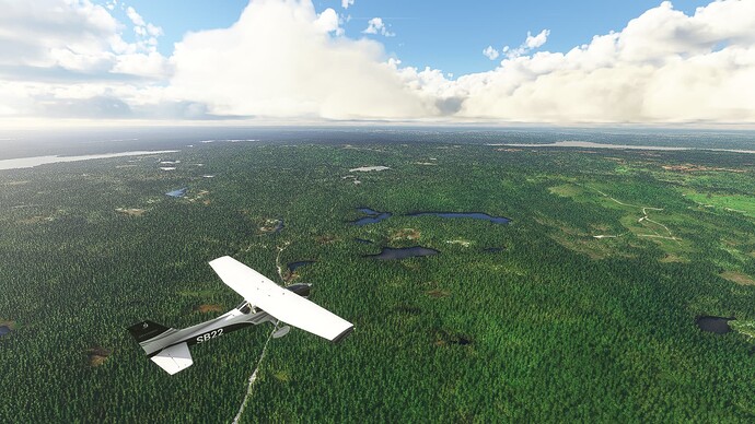 6_st-john_springdale_raw