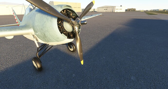 Microsoft_Flight_Simulator_Screenshot_2021.11.07_-_23.26.24.39