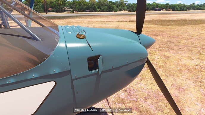 Microsoft Flight Simulator 2024 26_04_2025 21_02_09