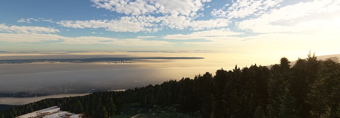 866c6e17-c56b-4636-8ffd-a347b58a44bf~2