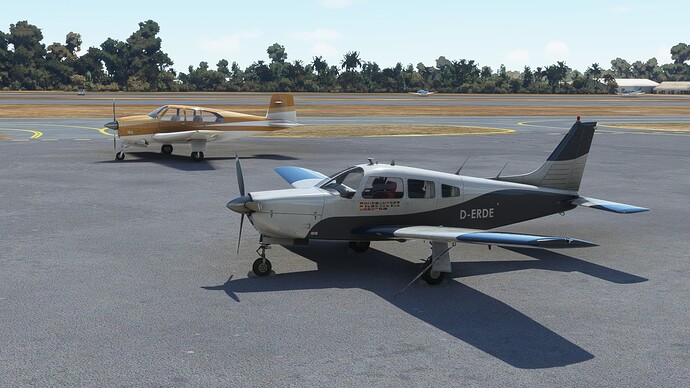 Microsoft Flight Simulator 13_03_2021 15_32_49