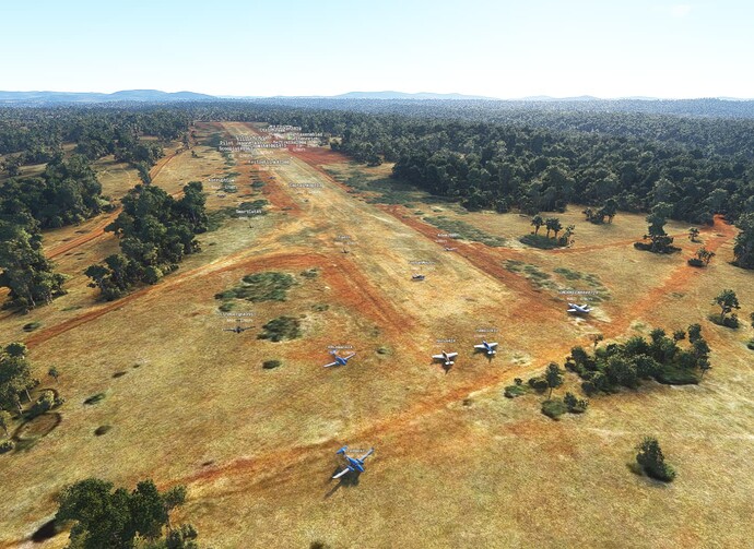 Microsoft Flight Simulator 1_13_2022 3_55_51 PM (2)