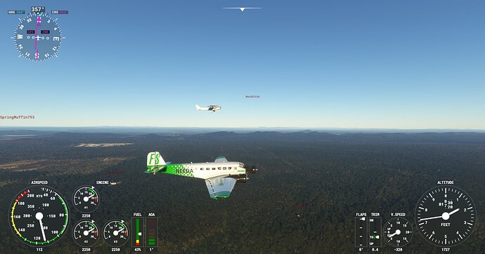 Microsoft Flight Simulator Screenshot 2022.02.04 - 20.32.34.41