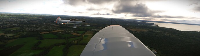 Microsoft Flight Simulator Screenshot 2024.03.10 - 17.50.00.93