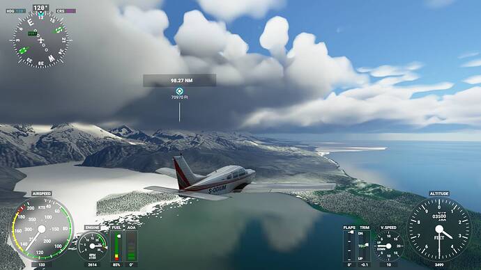 Microsoft Flight Simulator 6_14_2021 1_32_22 PM