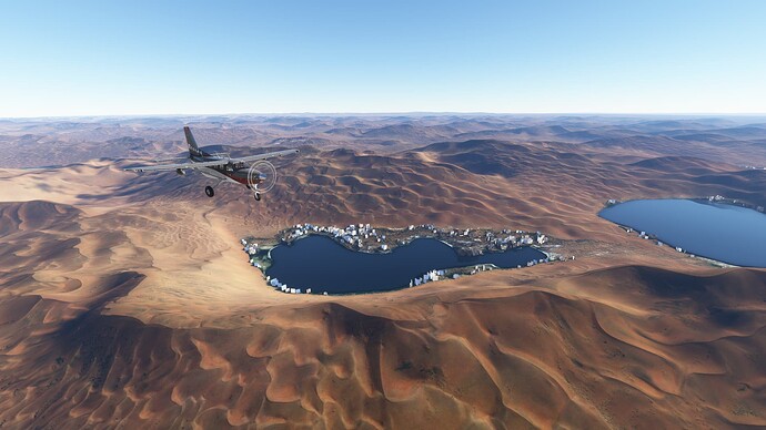 Microsoft Flight Simulator-2025_01_12-19-54-50