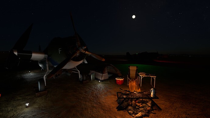 Microsoft Flight Simulator-2024_06_22-23-30-53