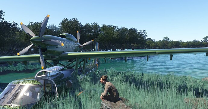 Microsoft Flight Simulator 2024 Screenshot 2025.03.26 - 17.26.23.16