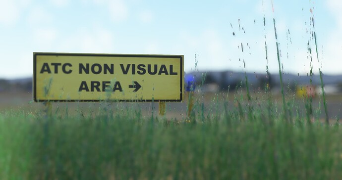 Microsoft Flight Simulator Screenshot 2022.07.12 - 23.29.05.77