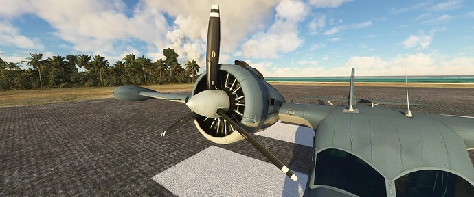 Microsoft Flight Simulator 1_20_2022 9_33_28 PM