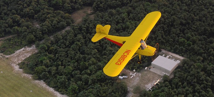 Microsoft Flight Simulator 2024 6_30_2025 10_46_23 AM