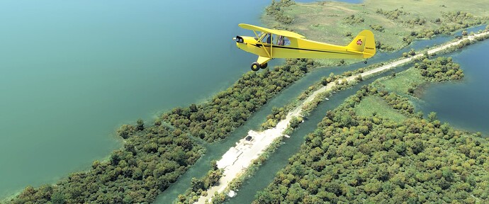 Cub Over Alabama Jack's