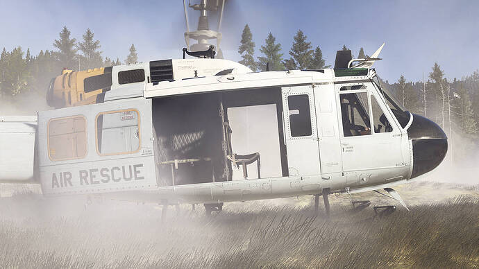 Microsoft Flight Simulator 2024-2026_02_01-17-37-24