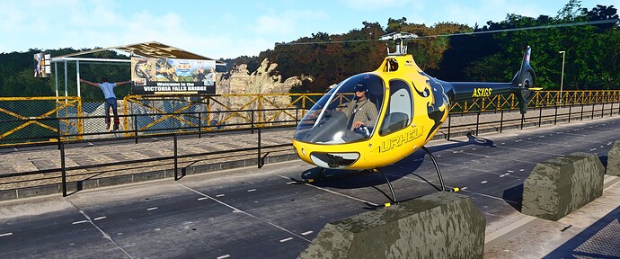 Victoria Falls Bridge