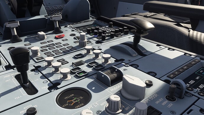 Microsoft Flight Simulator 2024 Screenshot 2025.03.04 - 03.42.13.83