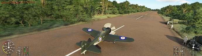 Microsoft Flight Simulator 9_30_2021 10_45_07 AM_jpg