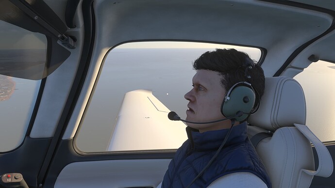Microsoft Flight Simulator 2024-2024_11_29-10_17_53