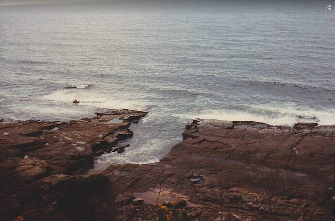 Screenshot_2021-05-20 Scanned photos 40's 50's 60's 70's