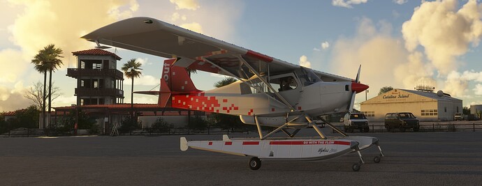 Microsoft Flight Simulator 2024 8_19_2025 11_01_30 PM_wide