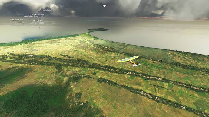 Microsoft Flight Simulator 8_2_2021 11_56_08 AM