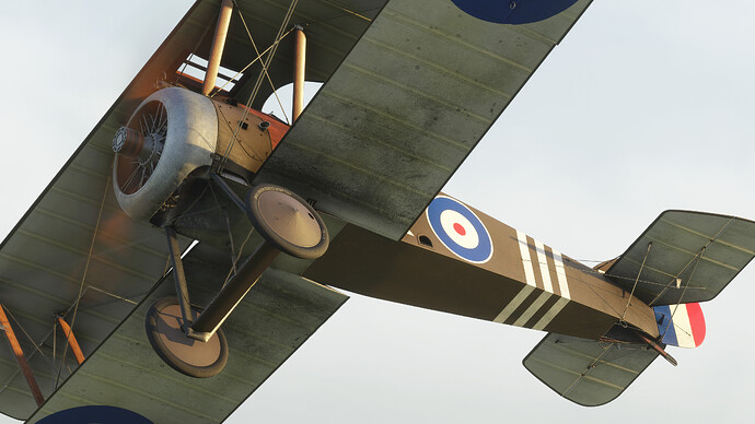 55121388741_df540e9ac0_4k