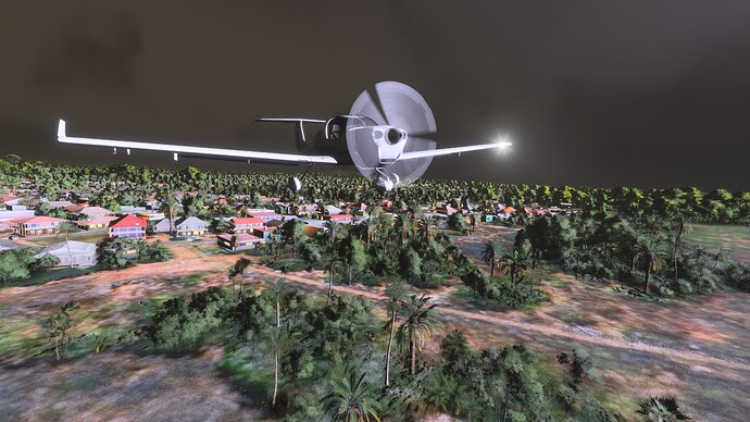 Microsoft Flight Simulator 2024-2025_10_03-16-09-07