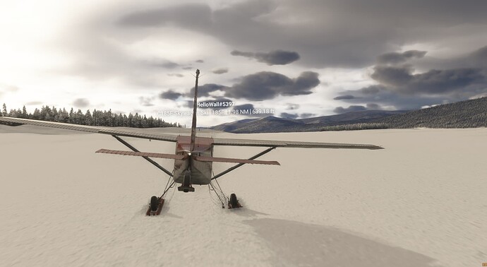 Microsoft Flight Simulator 2024 Screenshot 2025.03.07 - 01.55.53.98