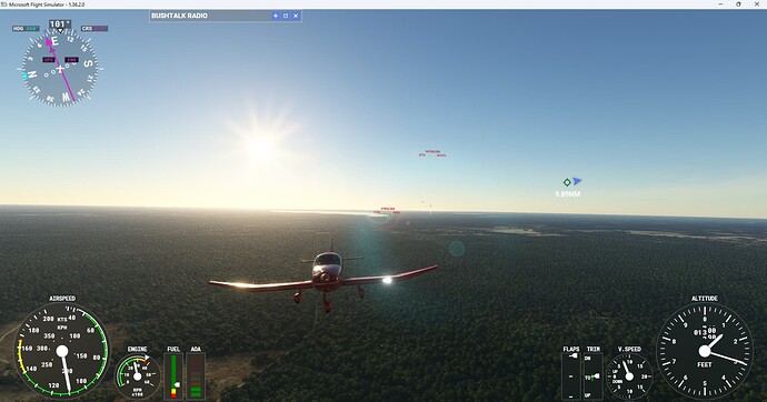 Microsoft Flight Simulator 12-Mar-24 23_07_56