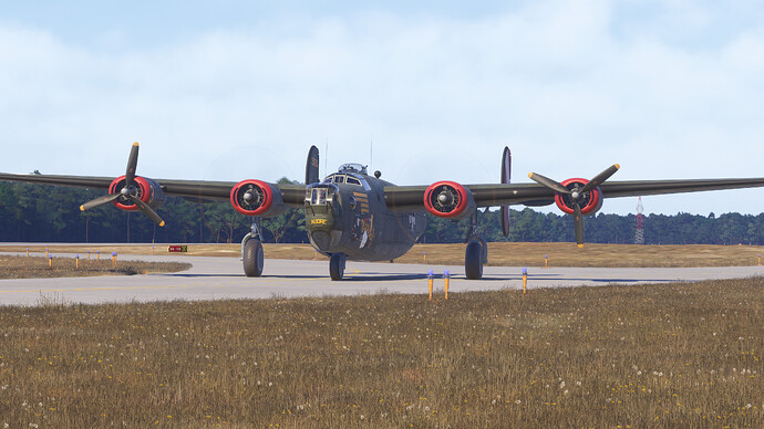 55013417515_6d4d84e5d1_4k