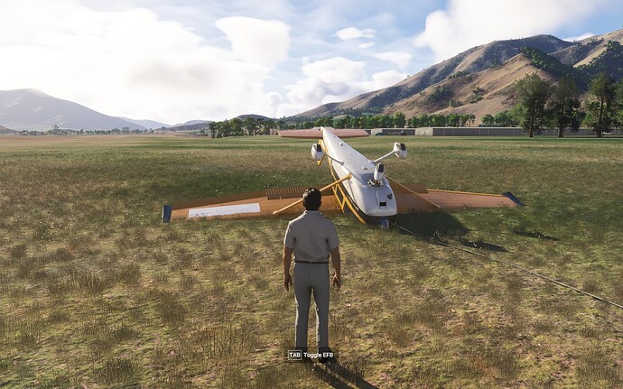 Microsoft Flight Simulator 2024 18-1-2025 16_37_39