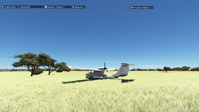 Savanna grass 4