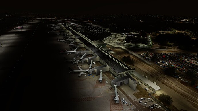 Microsoft Flight Simulator 10_09_2024 01_43_38