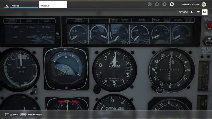Microsoft Flight Simulator 08.08.2021 20_38_54