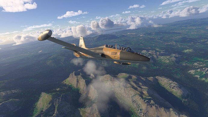Microsoft Flight Simulator 2024-2025_05_07-17-17-08