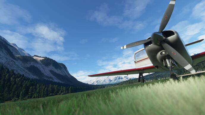 Microsoft Flight Simulator Screenshot 2021.05.31 - 20.09.56.24