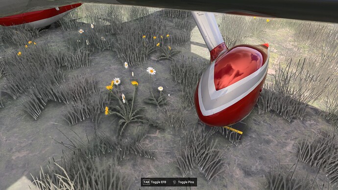 Flora Daisies & Dandelions at airports 1