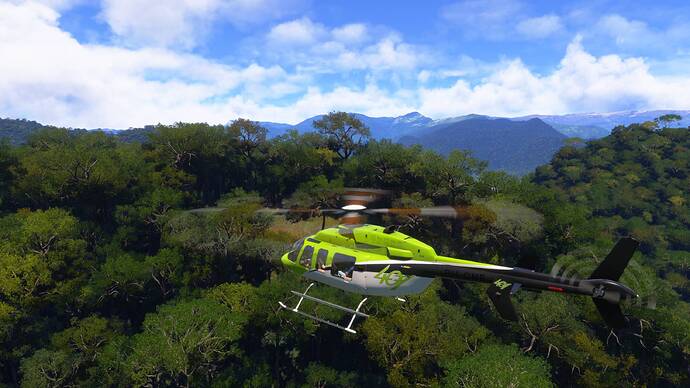 Microsoft Flight Simulator 2024 13_03_2026 20_17_49