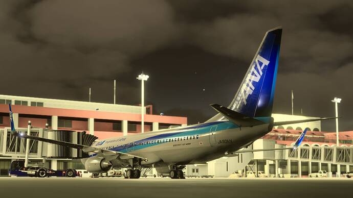 Microsoft Flight Simulator 2024-2026_01_22-21-25-23