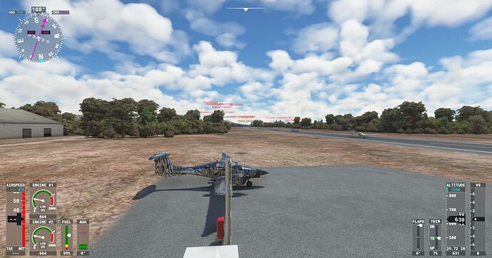 Microsoft Flight Simulator Screenshot 2022.03.24 - 21.14.19.29