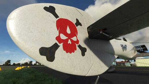 Microsoft Flight Simulator Screenshot 2022.04.28 - 17.31.23.24